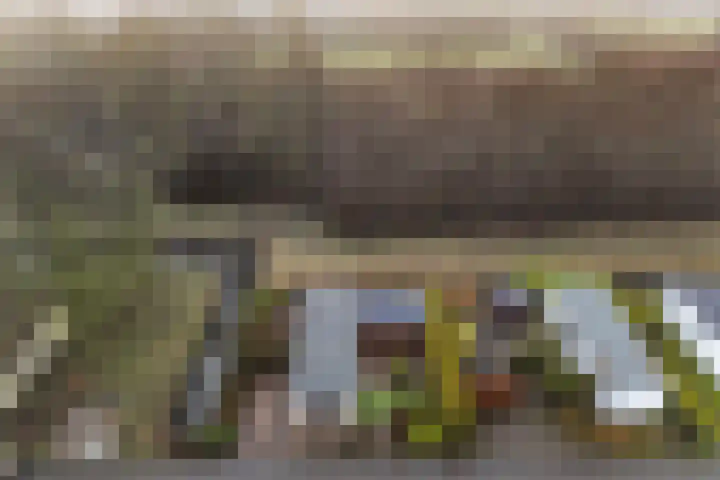 Vogels' tún 82 Tzummarum thumbnail 26