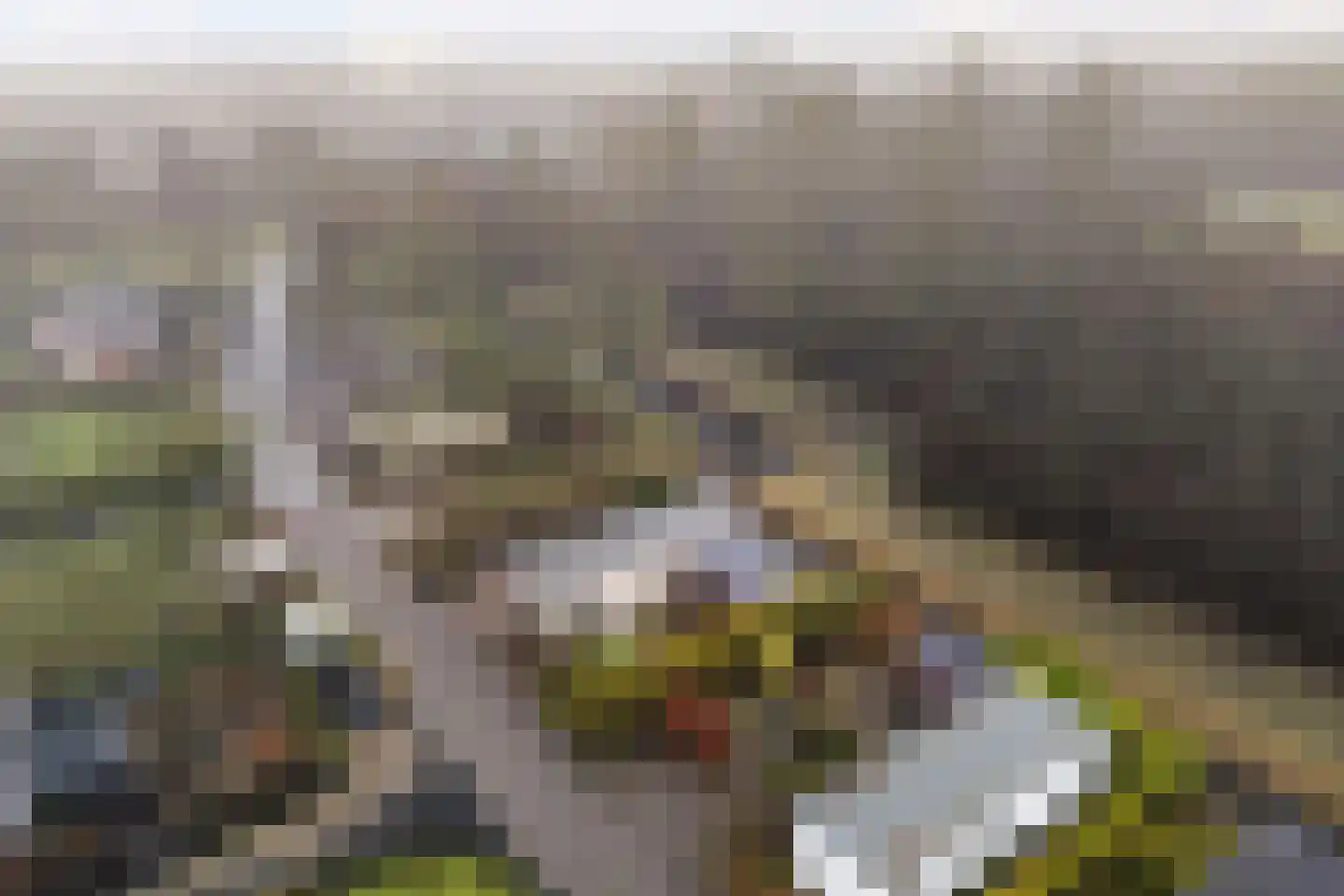 Vogels' tún 82 Tzummarum thumbnail 27