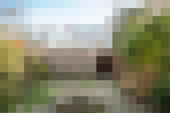 Vogelsanglaan 25 Utrecht thumbnail 19