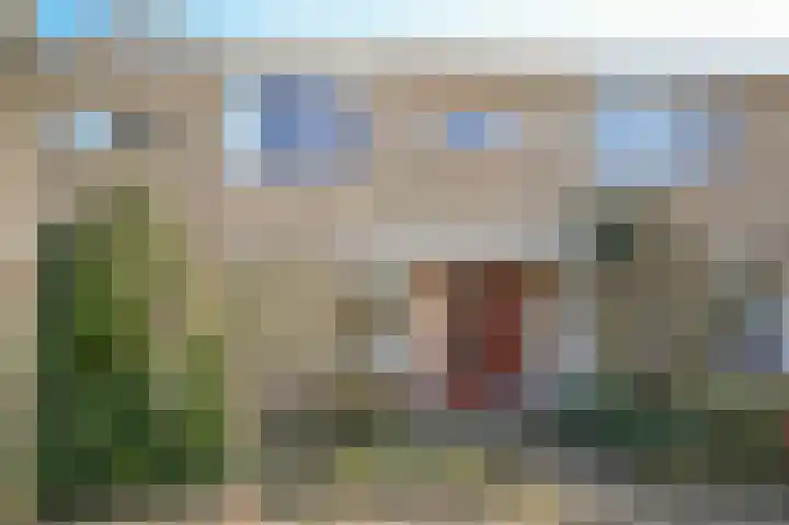 Vogelsanglaan 25 Utrecht thumbnail 29