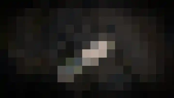 Vogelsanglaan 25 Utrecht thumbnail 33