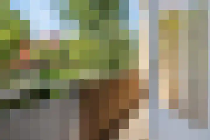 Vogelsanglaan 7 Utrecht thumbnail 14