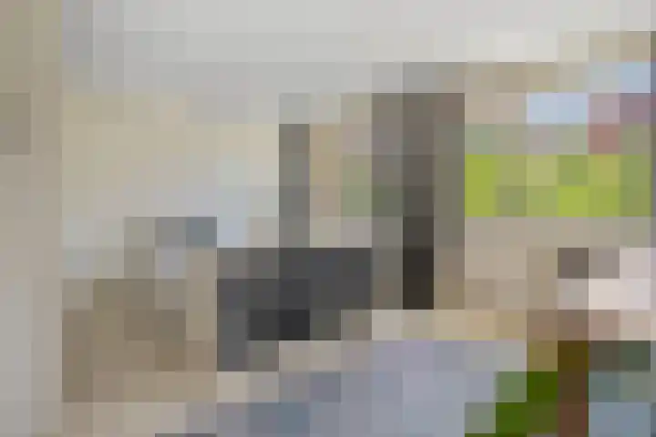Vogelsanglaan 7 Utrecht thumbnail 19
