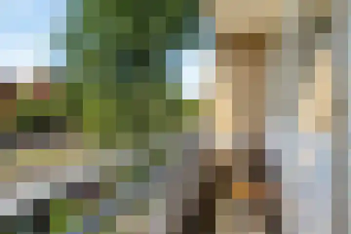 Vogelsanglaan 7 Utrecht thumbnail 24