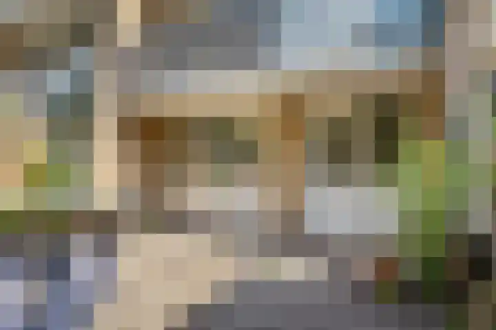 Vogelsanglaan 7 Utrecht thumbnail 26
