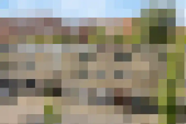 Vogelsanglaan 7 Utrecht thumbnail 4