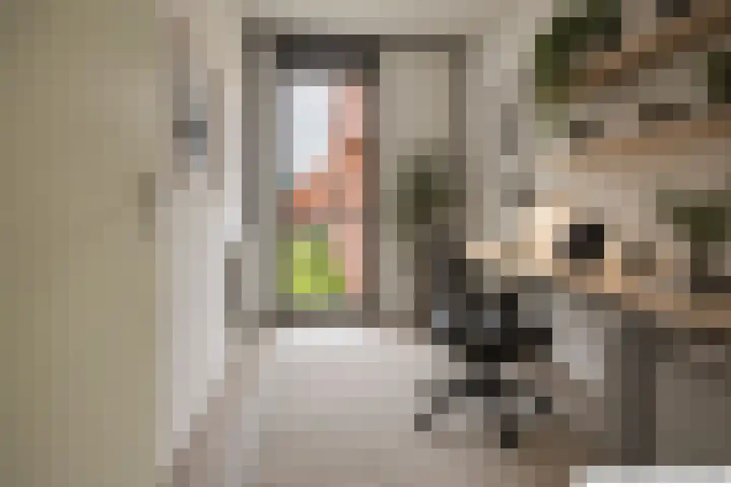 Vogelsangstraat 10 Leerdam thumbnail 13