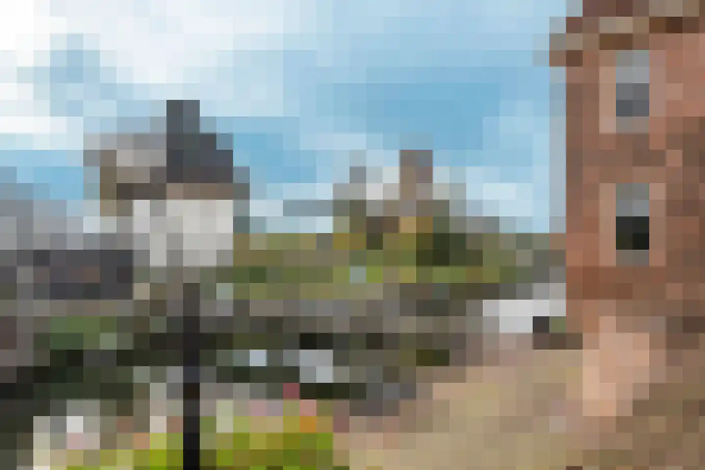 Vogelsangstraat 10 Leerdam thumbnail 25