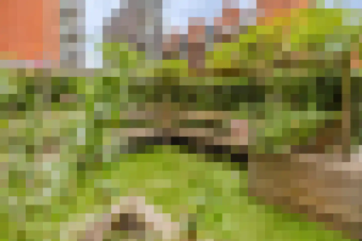 Vogelsangstraat 10 Leerdam thumbnail 9
