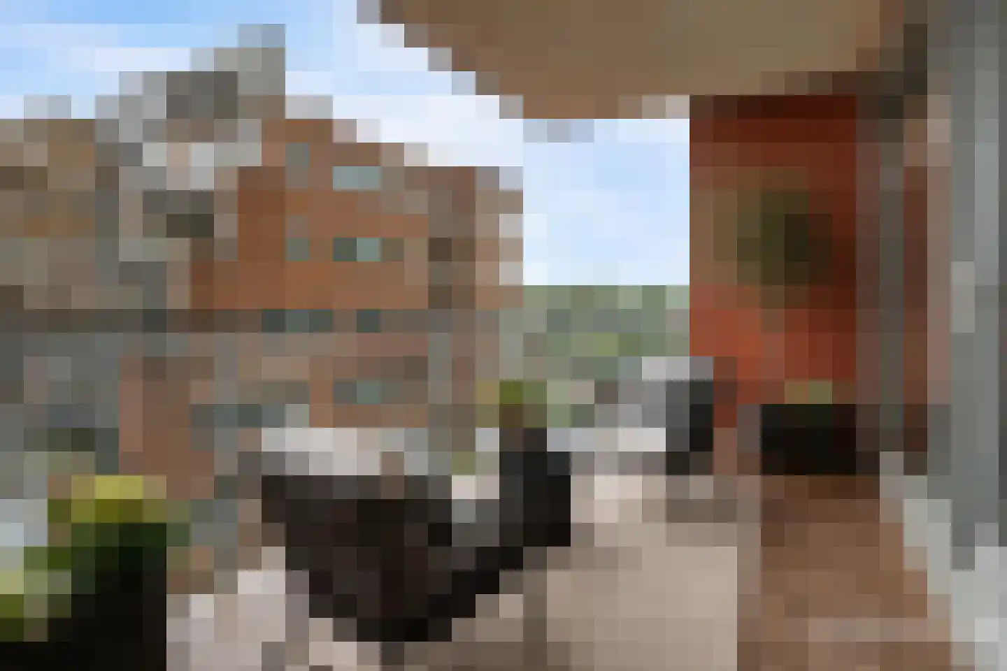 Vogelsangstraat 70 Leerdam thumbnail 4