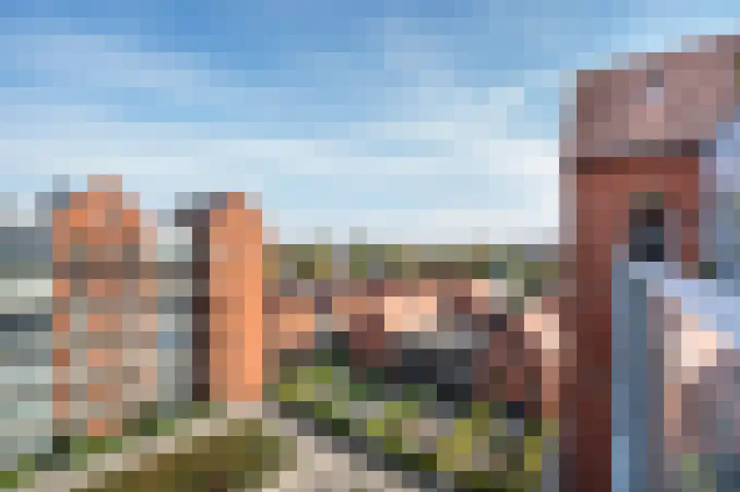 Vogelsangstraat 78 Leerdam thumbnail 31