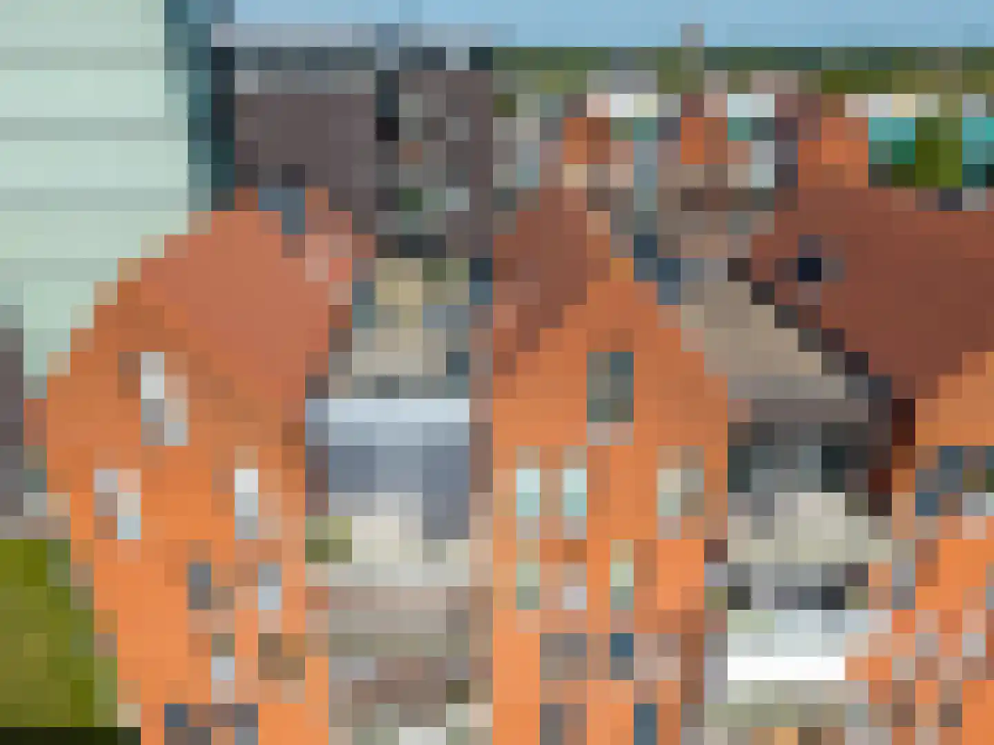Vogelsangstraat 80 Leerdam thumbnail 32
