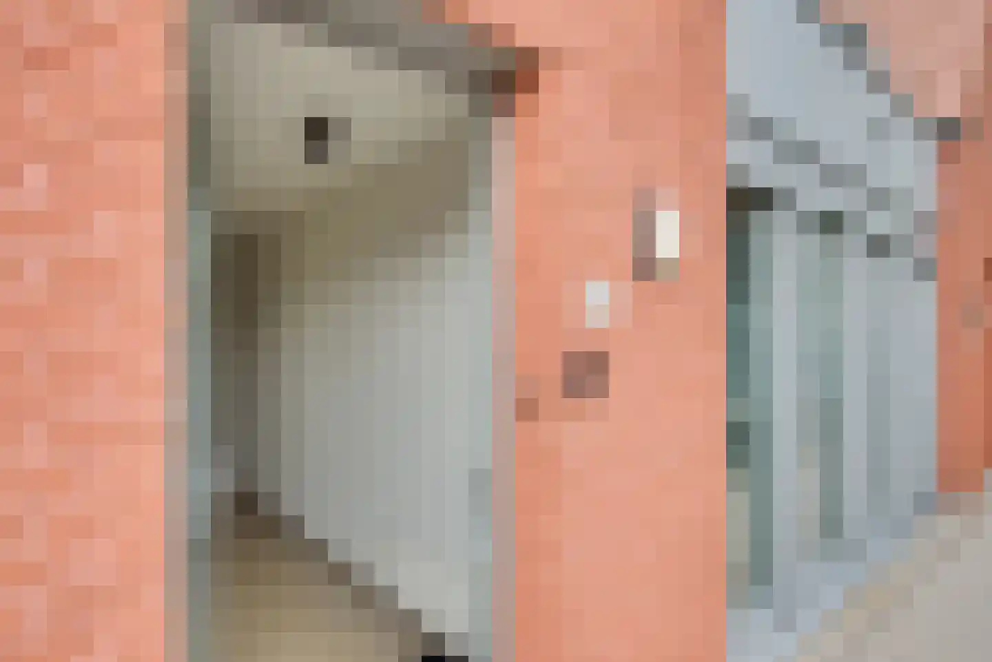 Vogelsangstraat 80 Leerdam thumbnail 8