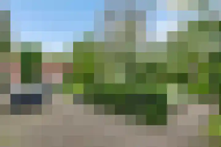 Vogelsberg 2 a Maarheeze thumbnail 37