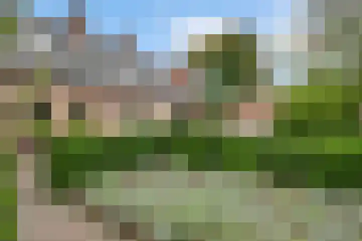 Vogelsberg 2 a Maarheeze thumbnail 38