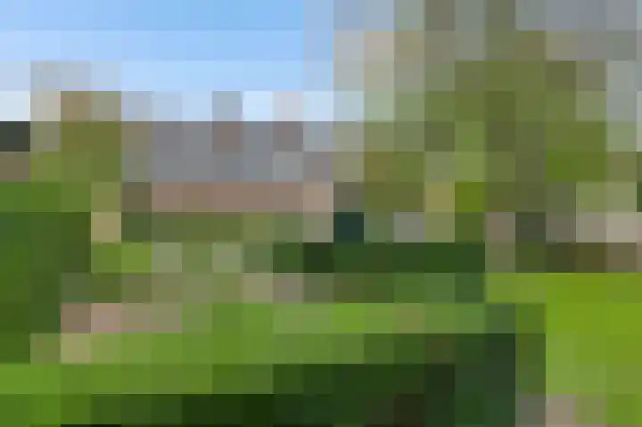 Vogelsberg 2 a Maarheeze thumbnail 39