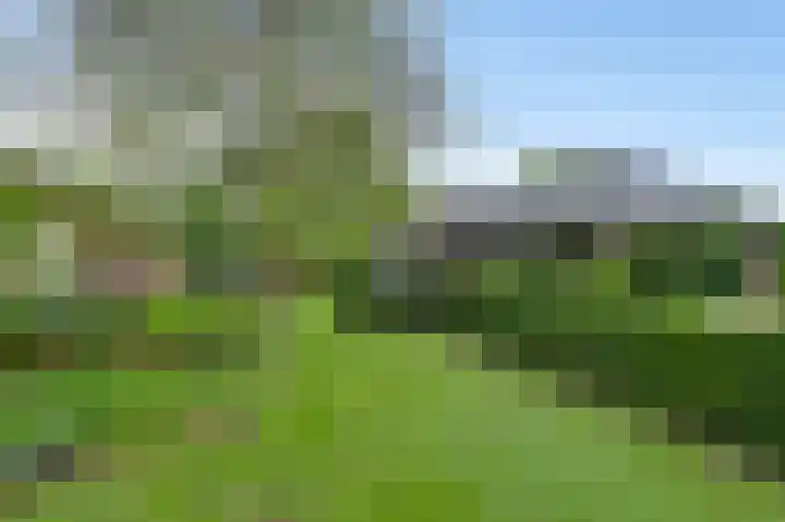 Vogelsberg 2 a Maarheeze thumbnail 4