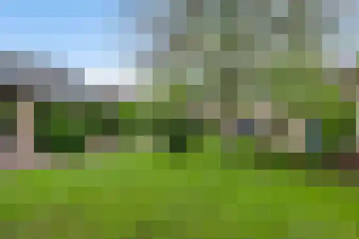 Vogelsberg 2 a Maarheeze thumbnail 42