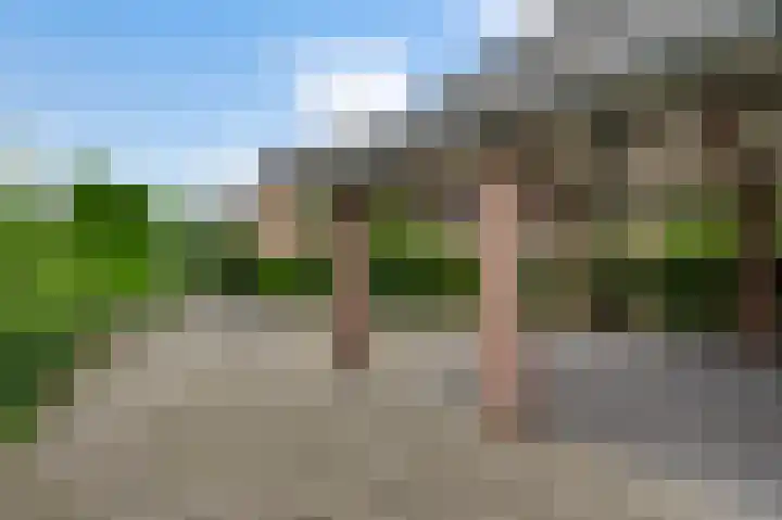 Vogelsberg 2 a Maarheeze thumbnail 46