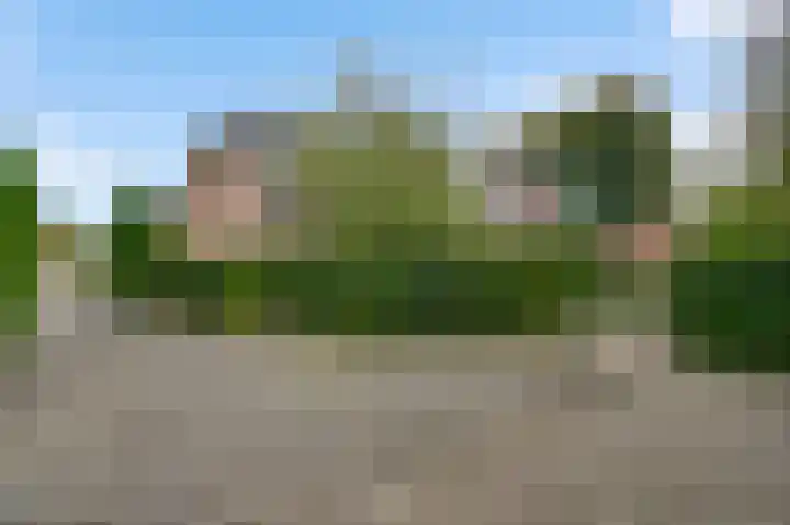 Vogelsberg 2 a Maarheeze thumbnail 47