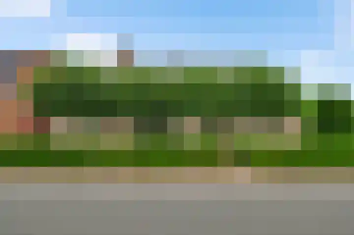 Vogelsberg 2 a Maarheeze thumbnail 6