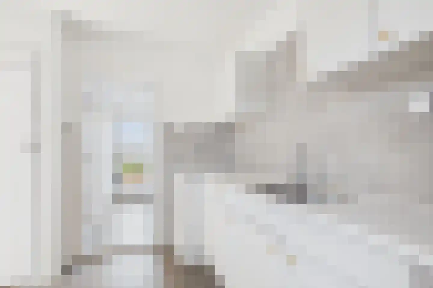 Vogelschorstraat 8 Sluiskil thumbnail 10