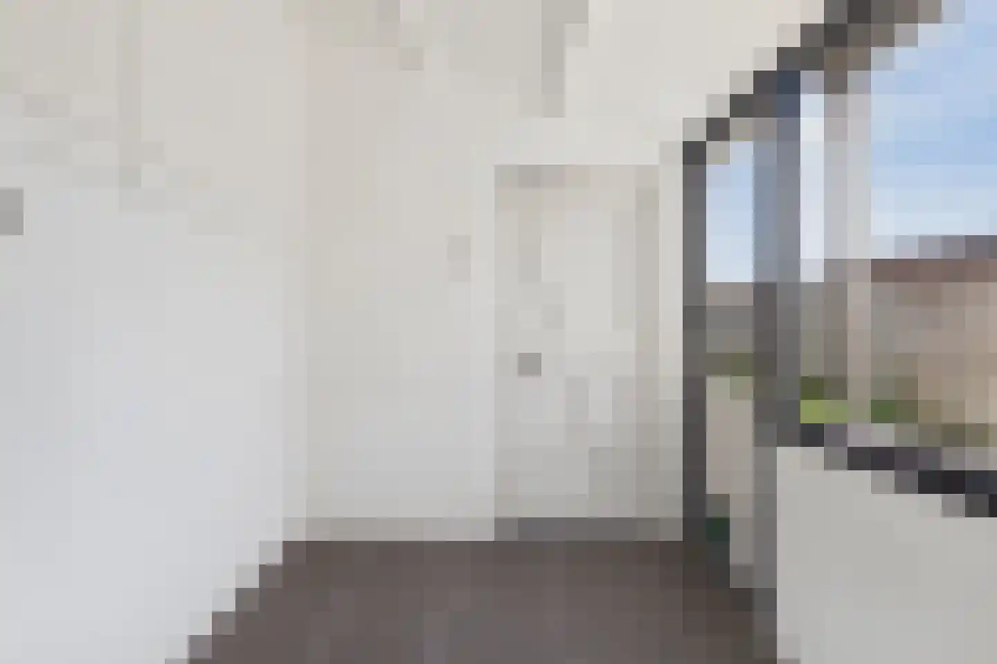 Vogelschorstraat 8 Sluiskil thumbnail 12