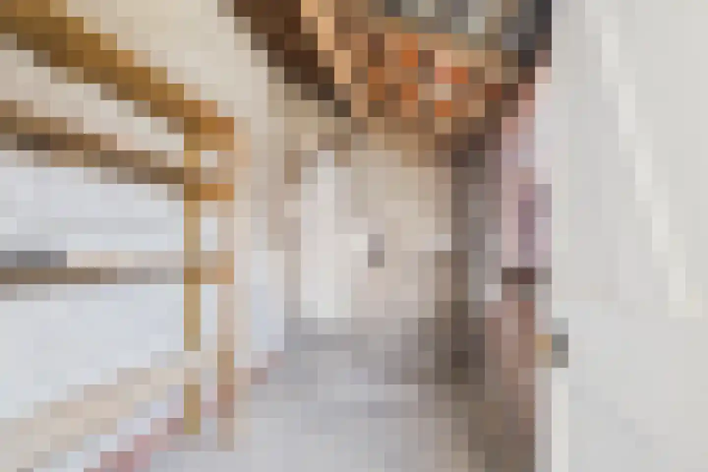Vogelschorstraat 8 Sluiskil thumbnail 13