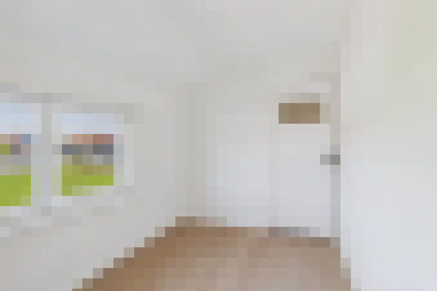 Vogelschorstraat 8 Sluiskil thumbnail 22