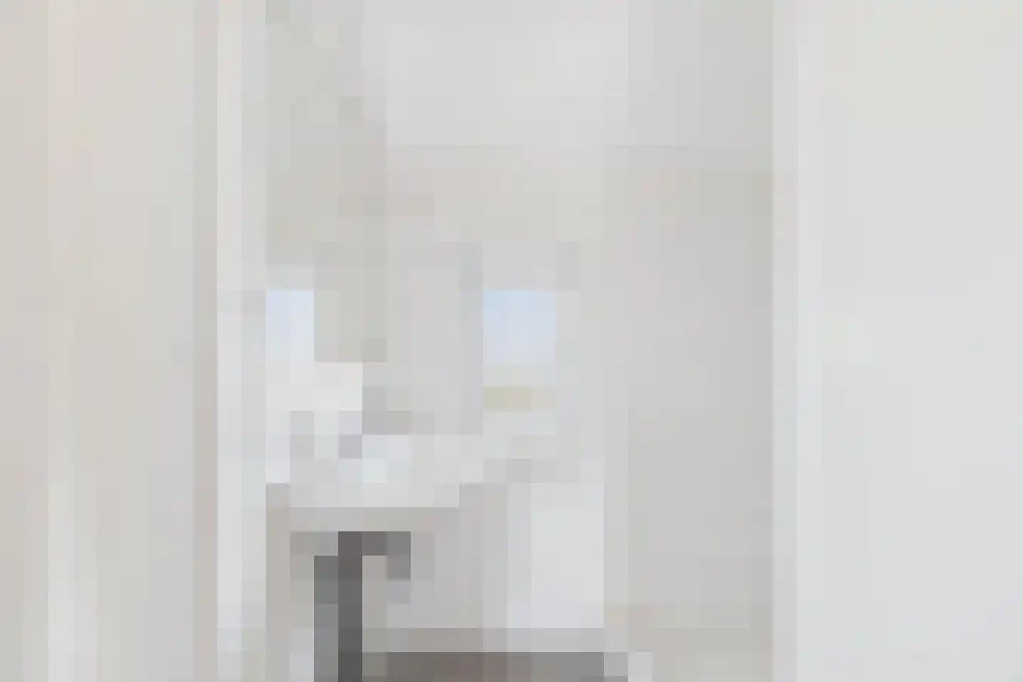 Vogelschorstraat 8 Sluiskil thumbnail 23