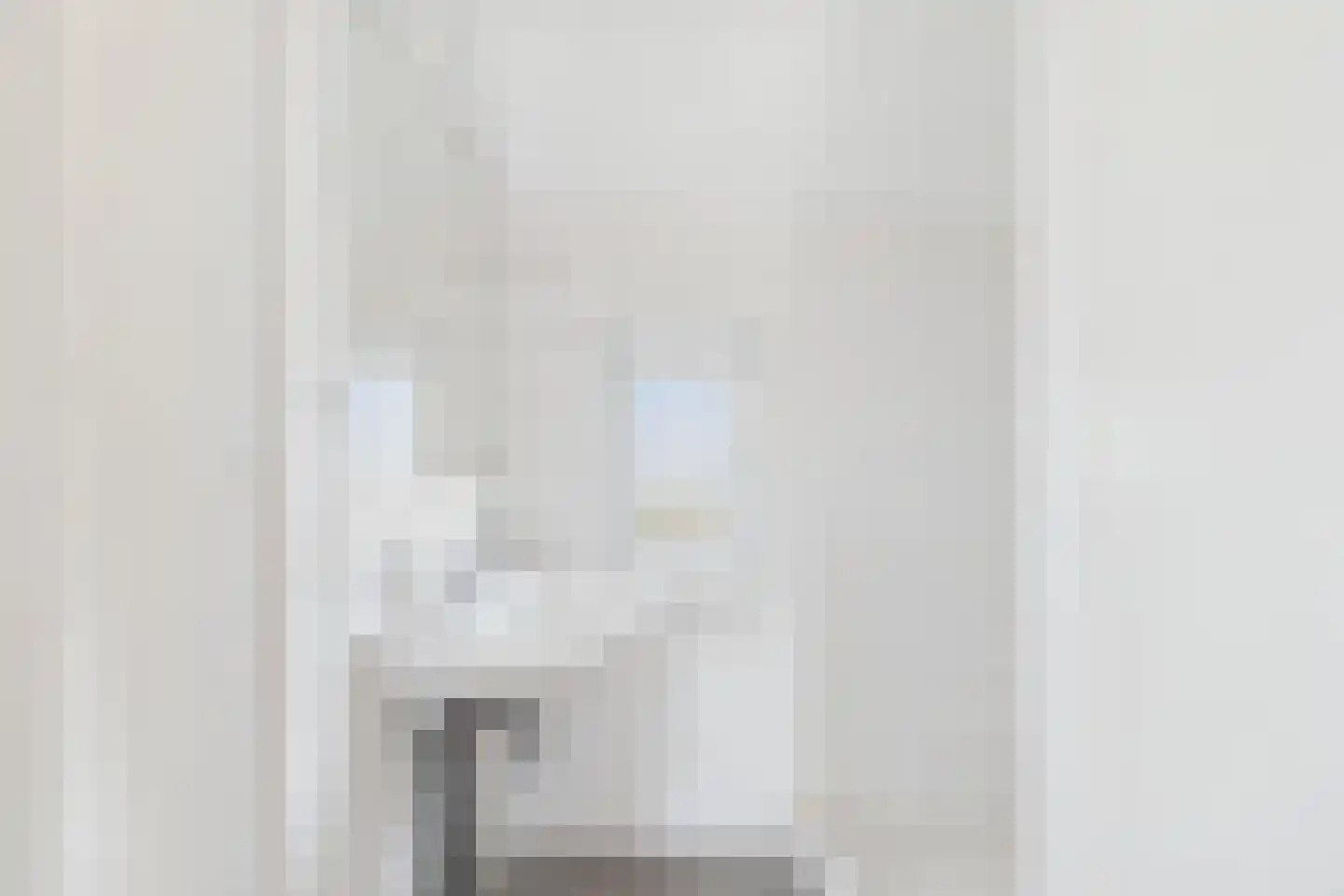 Vogelschorstraat 8 Sluiskil thumbnail 23