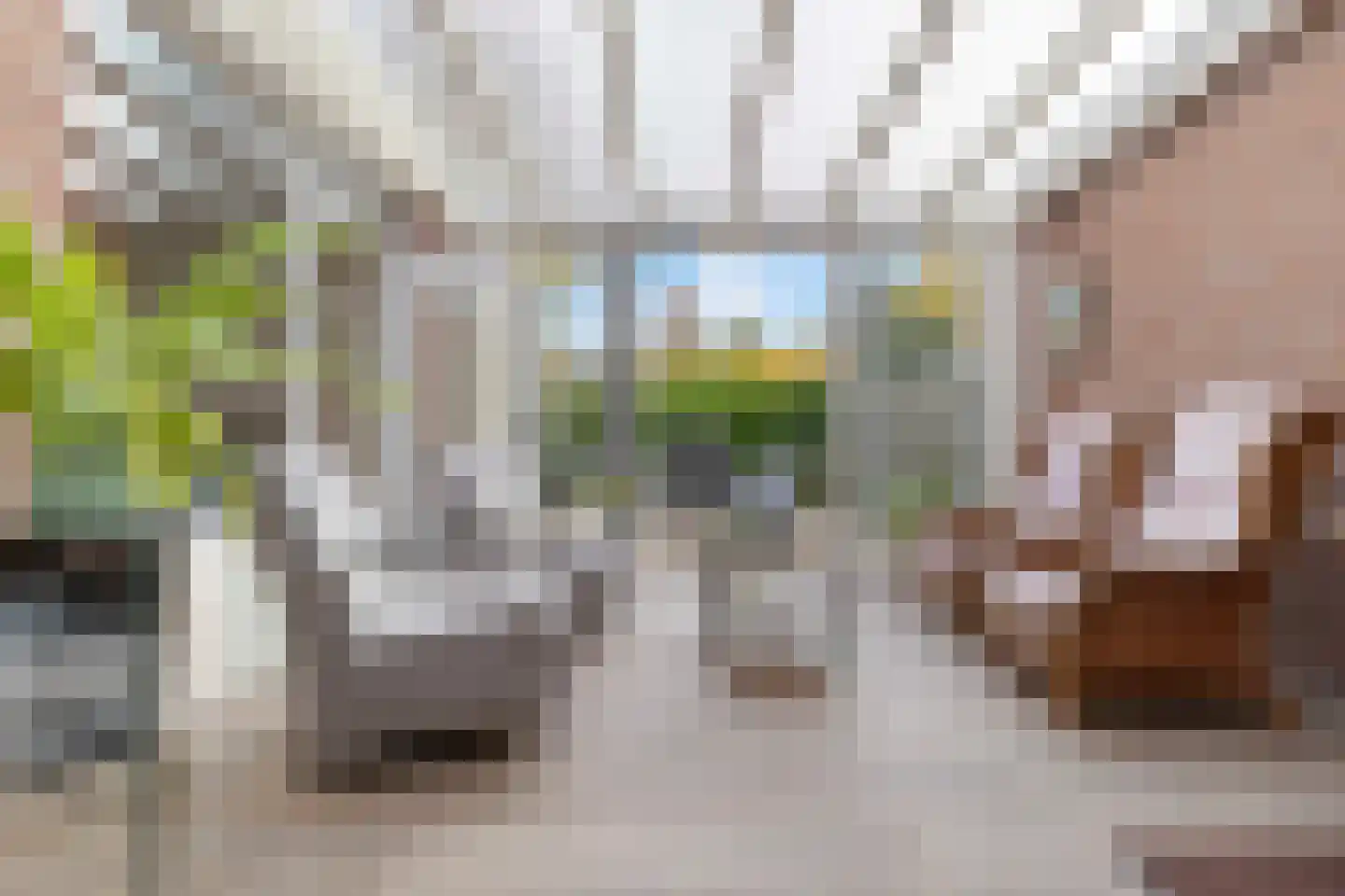 Vogelsgaarde 12 Nuenen thumbnail 20