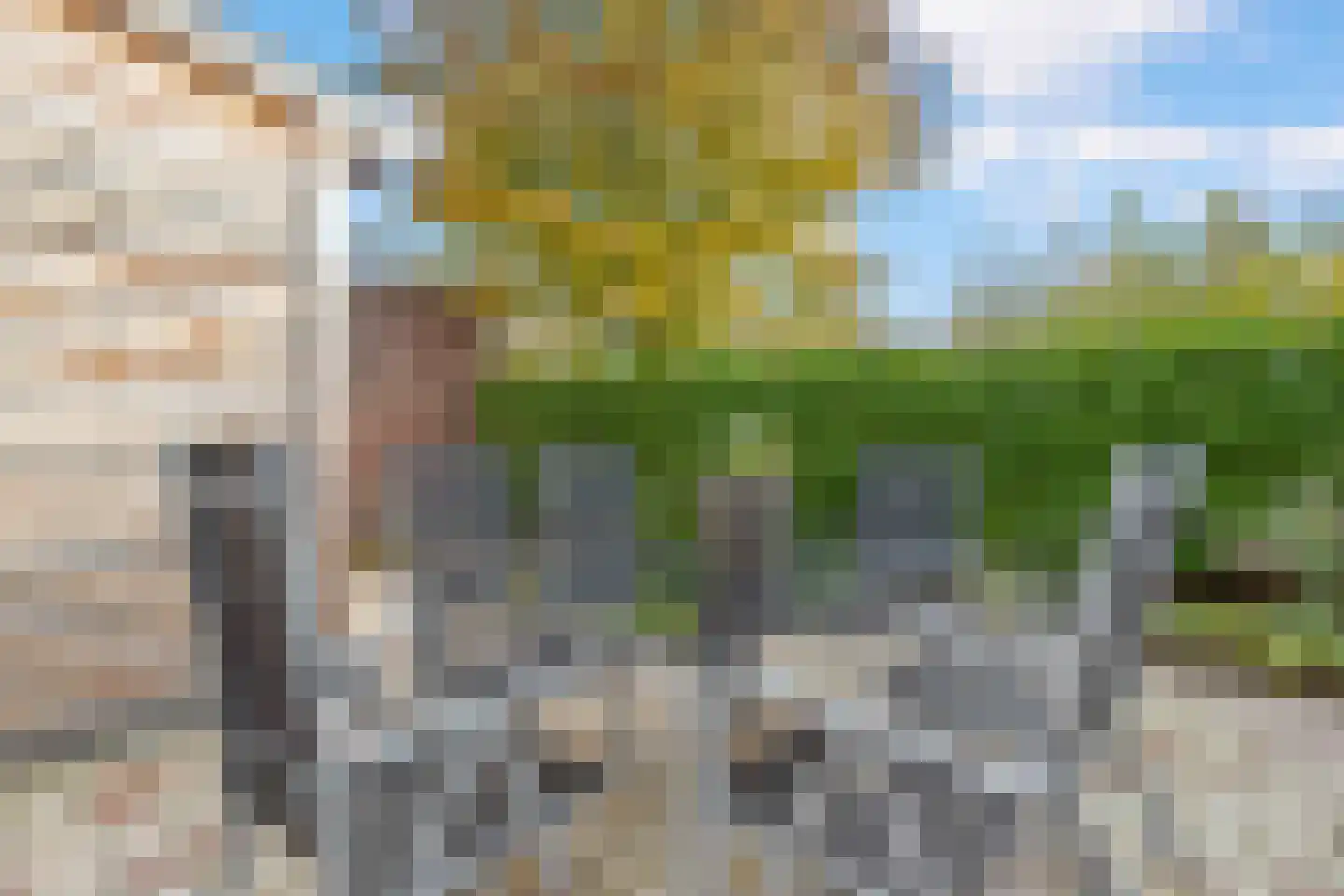 Vogelsgaarde 12 Nuenen thumbnail 25