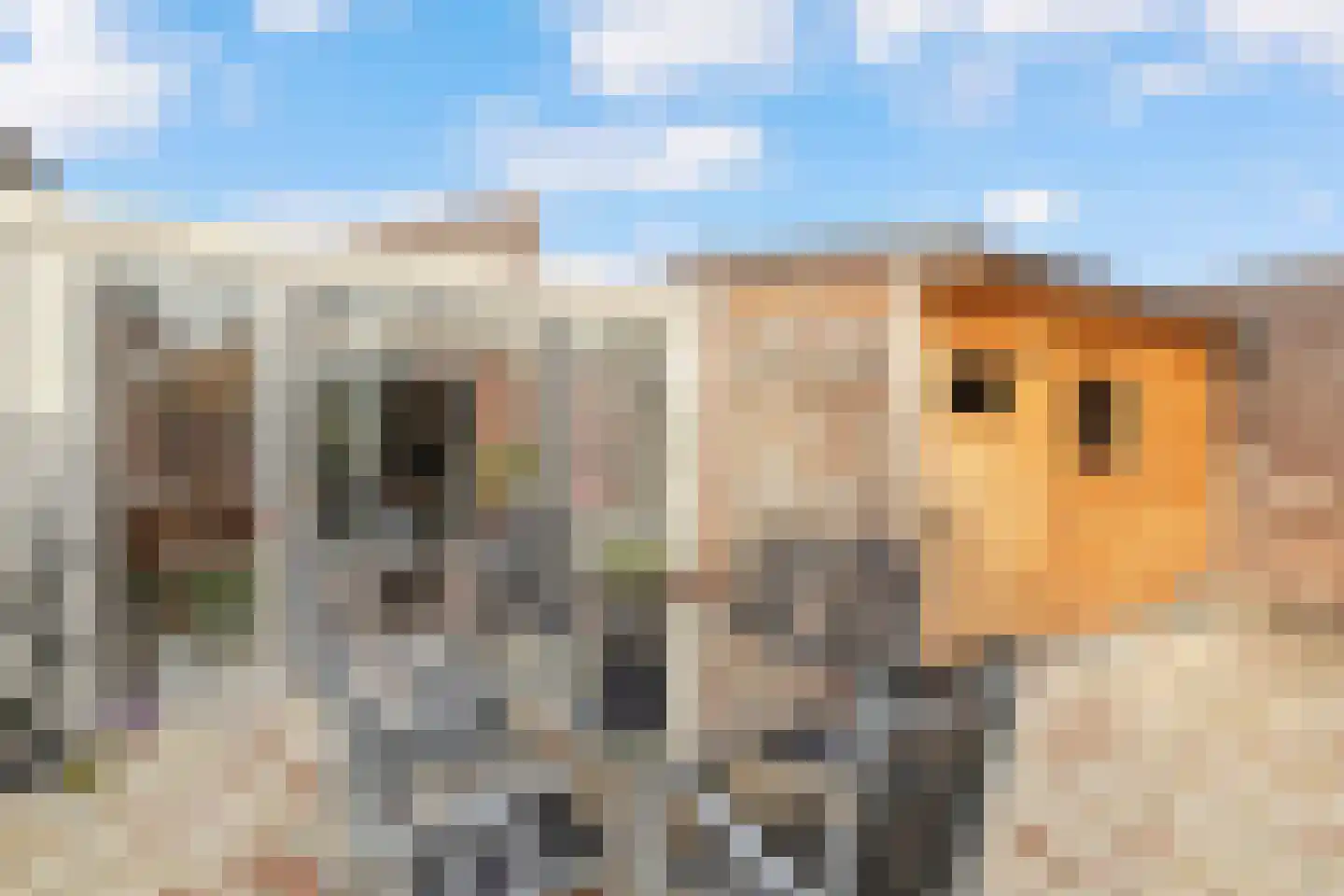 Vogelsgaarde 12 Nuenen thumbnail 26