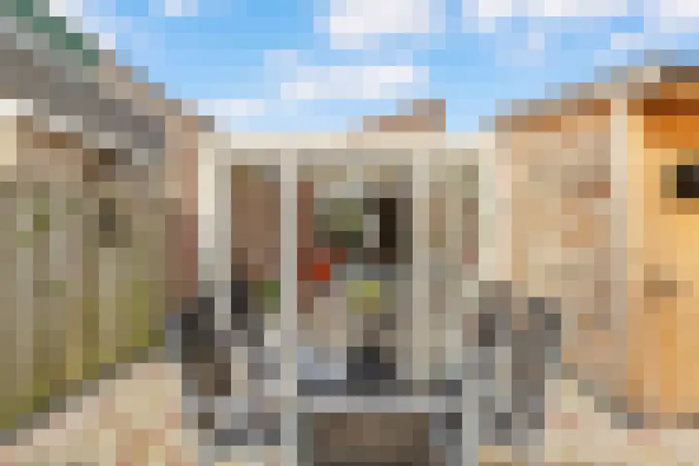 Vogelsgaarde 12 Nuenen thumbnail 27