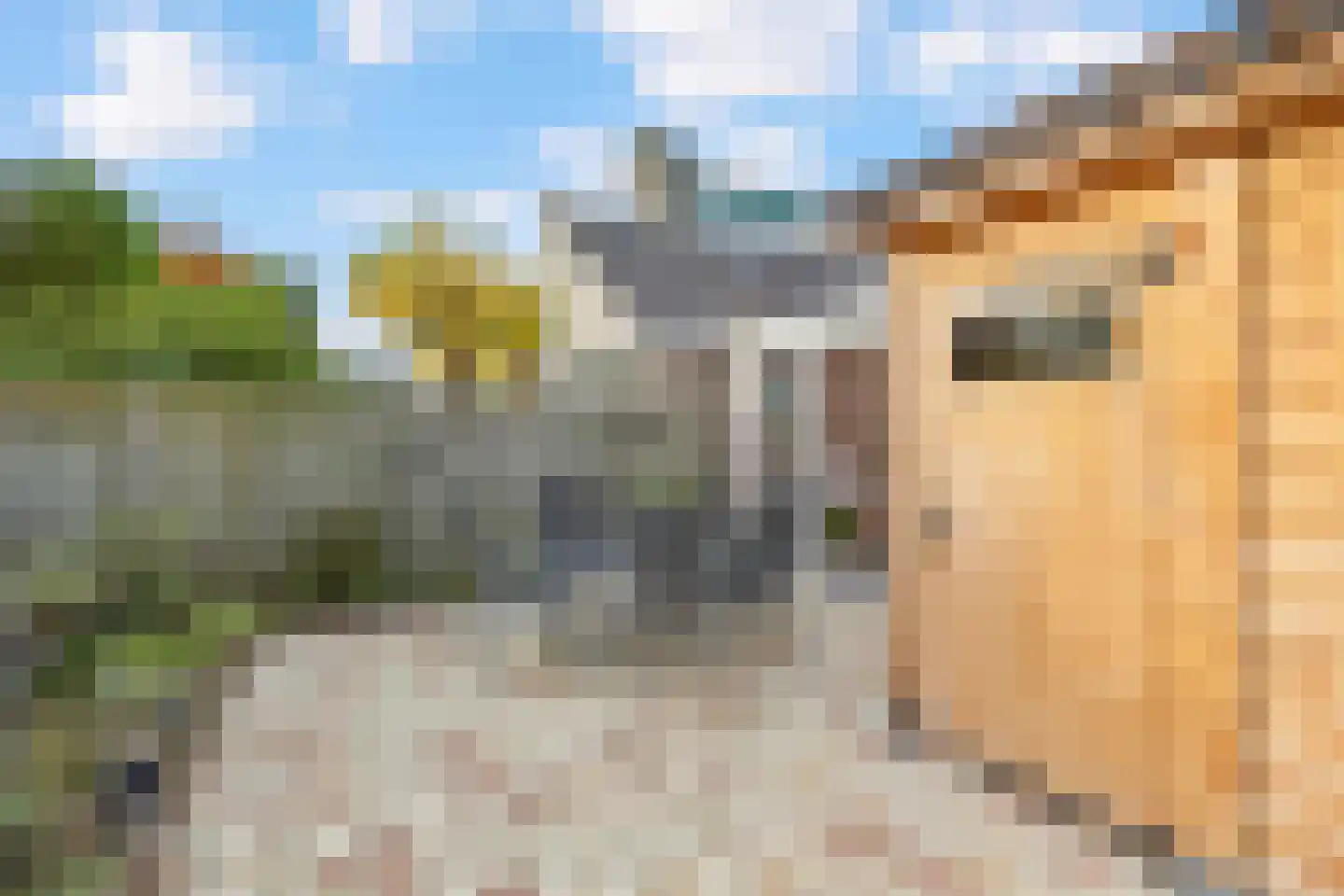 Vogelsgaarde 12 Nuenen thumbnail 28
