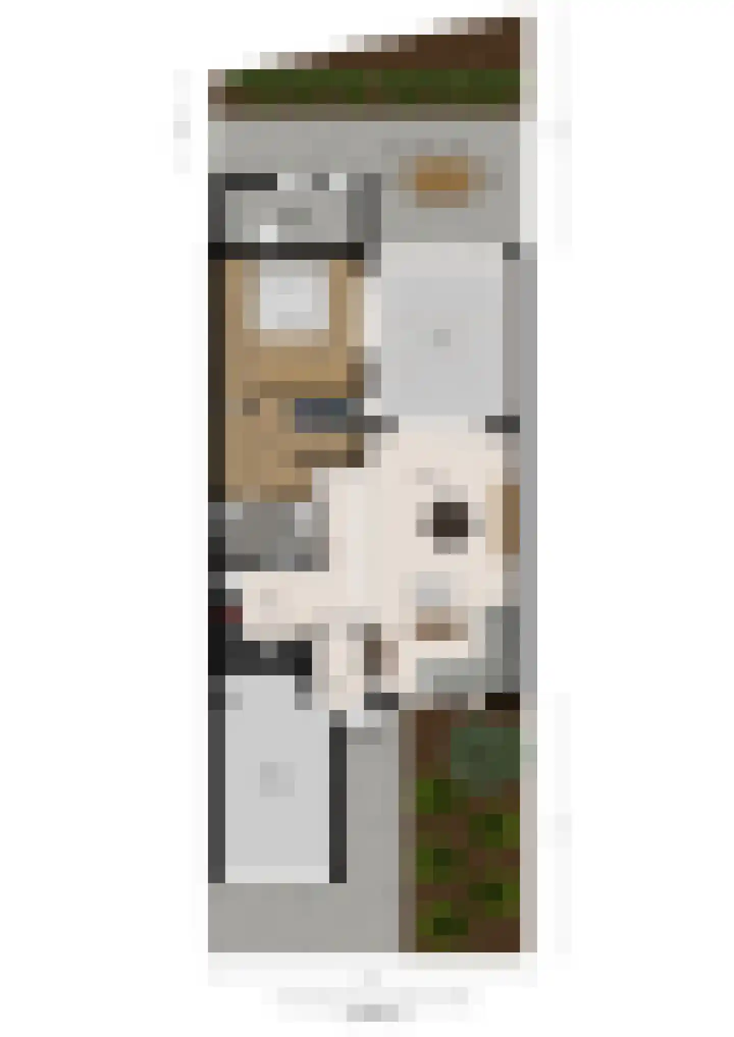 Vogelsgaarde 12 Nuenen thumbnail 34