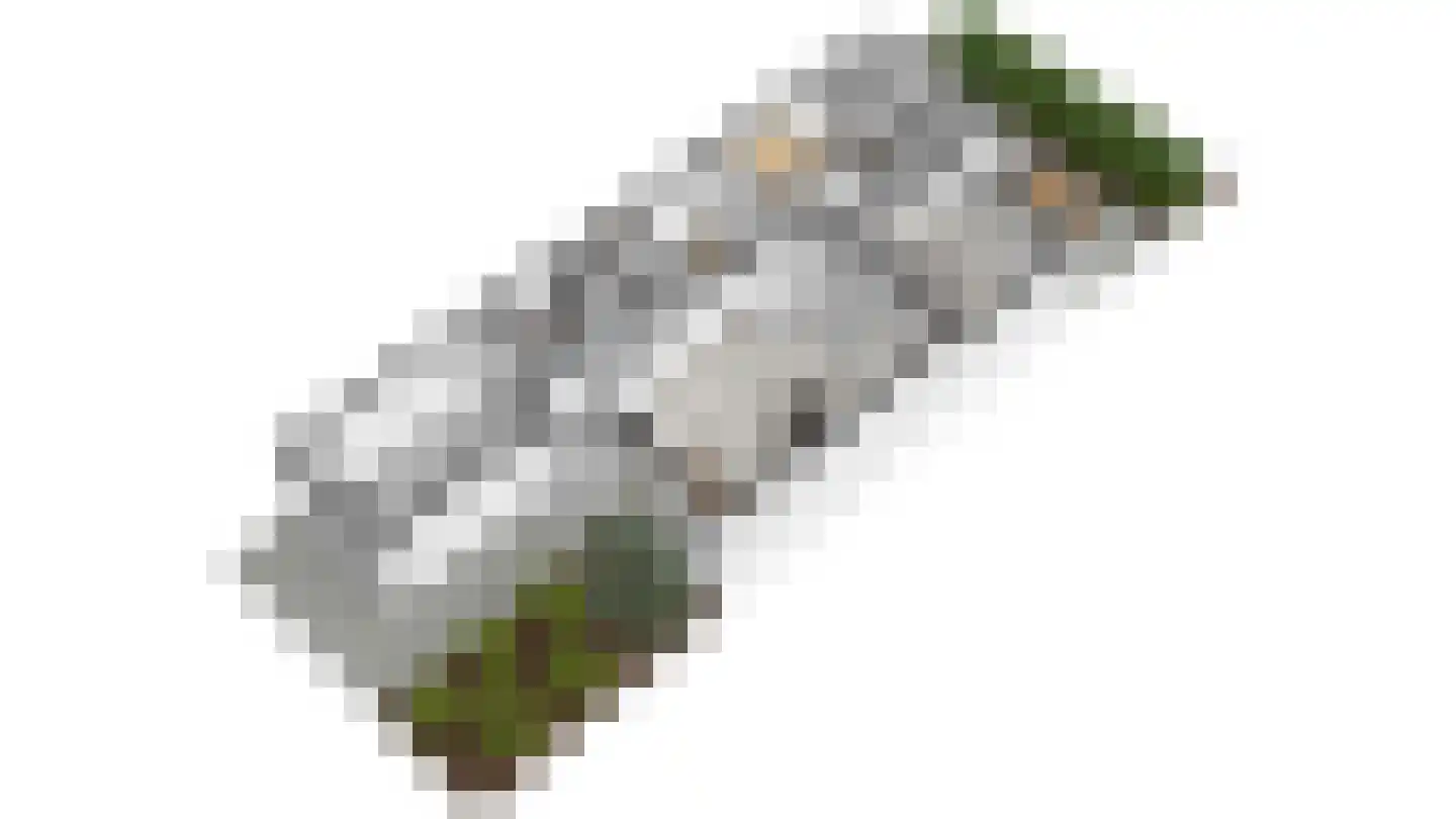 Vogelsgaarde 12 Nuenen thumbnail 35