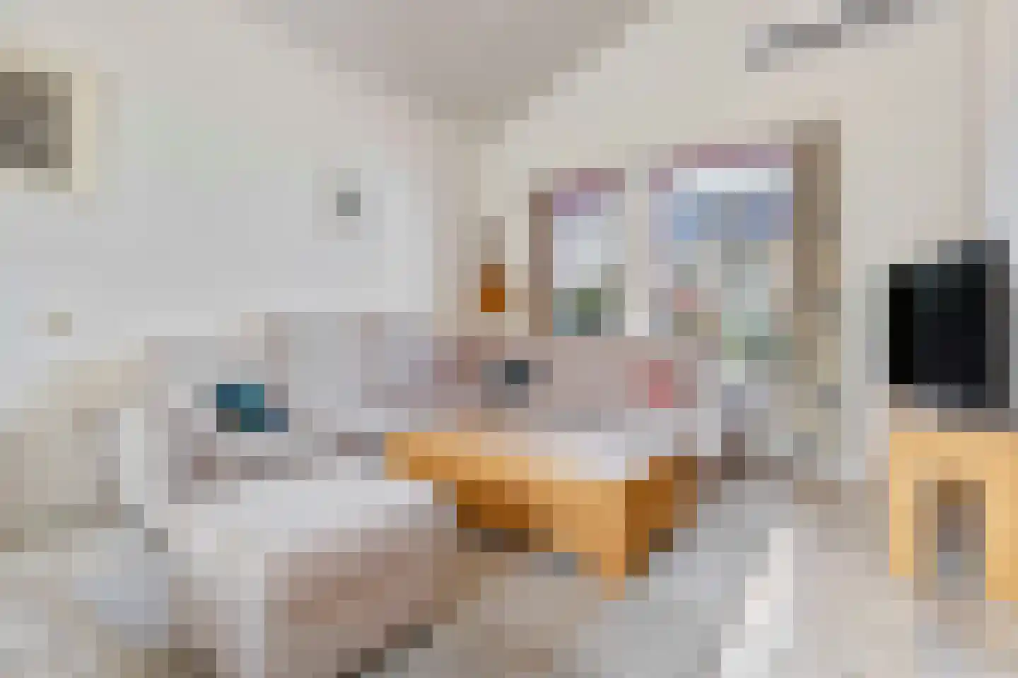 Vogelsgaarde 12 Nuenen thumbnail 6