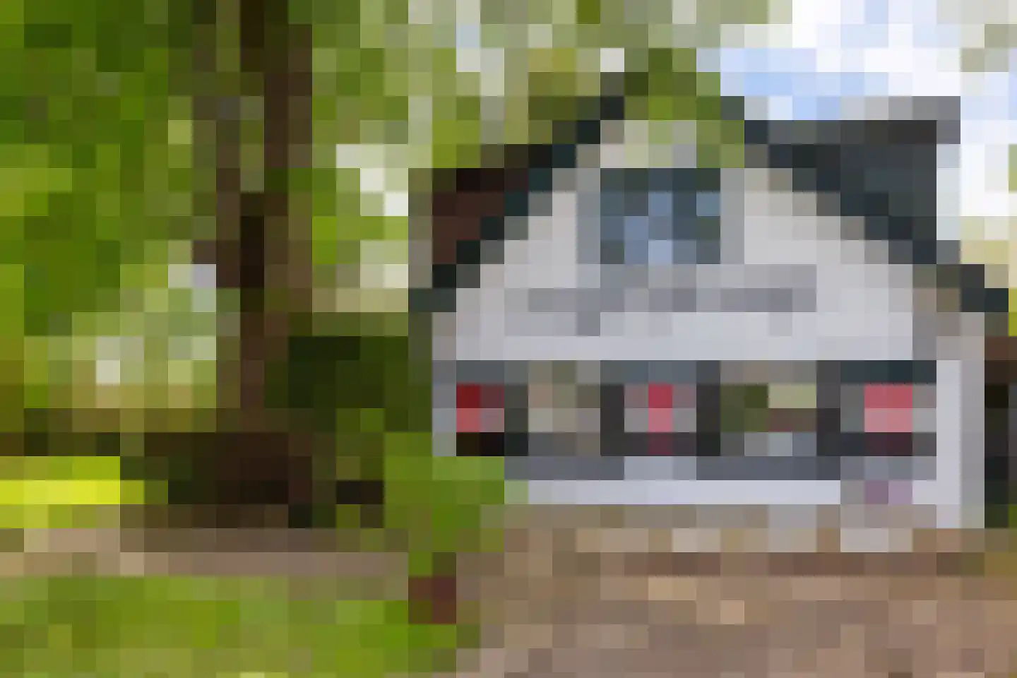 Vogelskamp 1 Warmond thumbnail 10