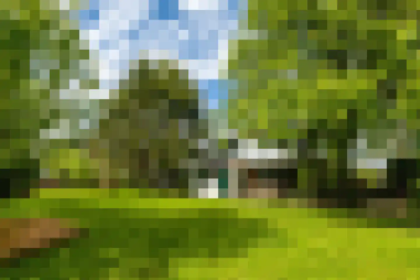 Vogelskamp 1 Warmond thumbnail 11