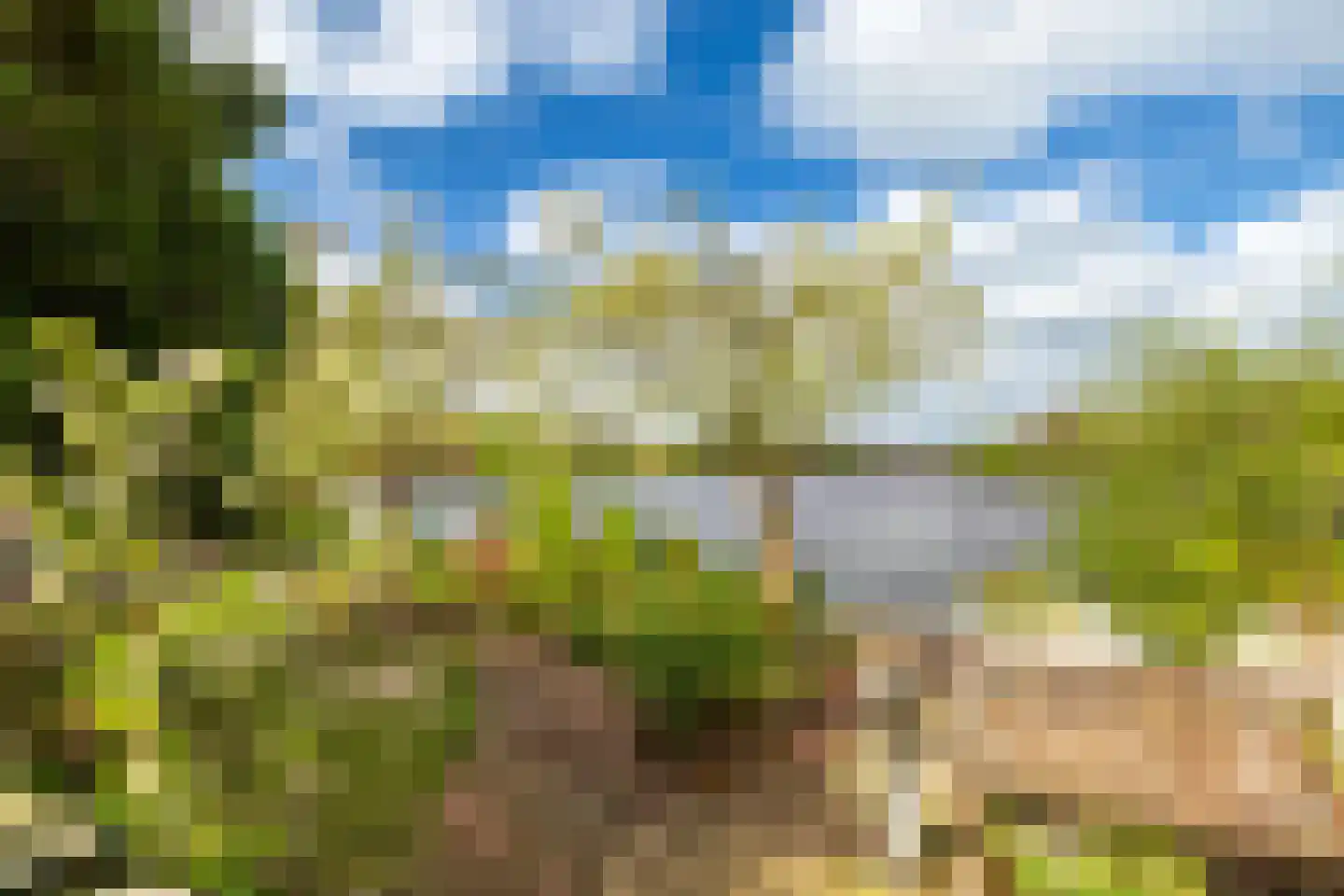 Vogelskamp 1 Warmond thumbnail 12