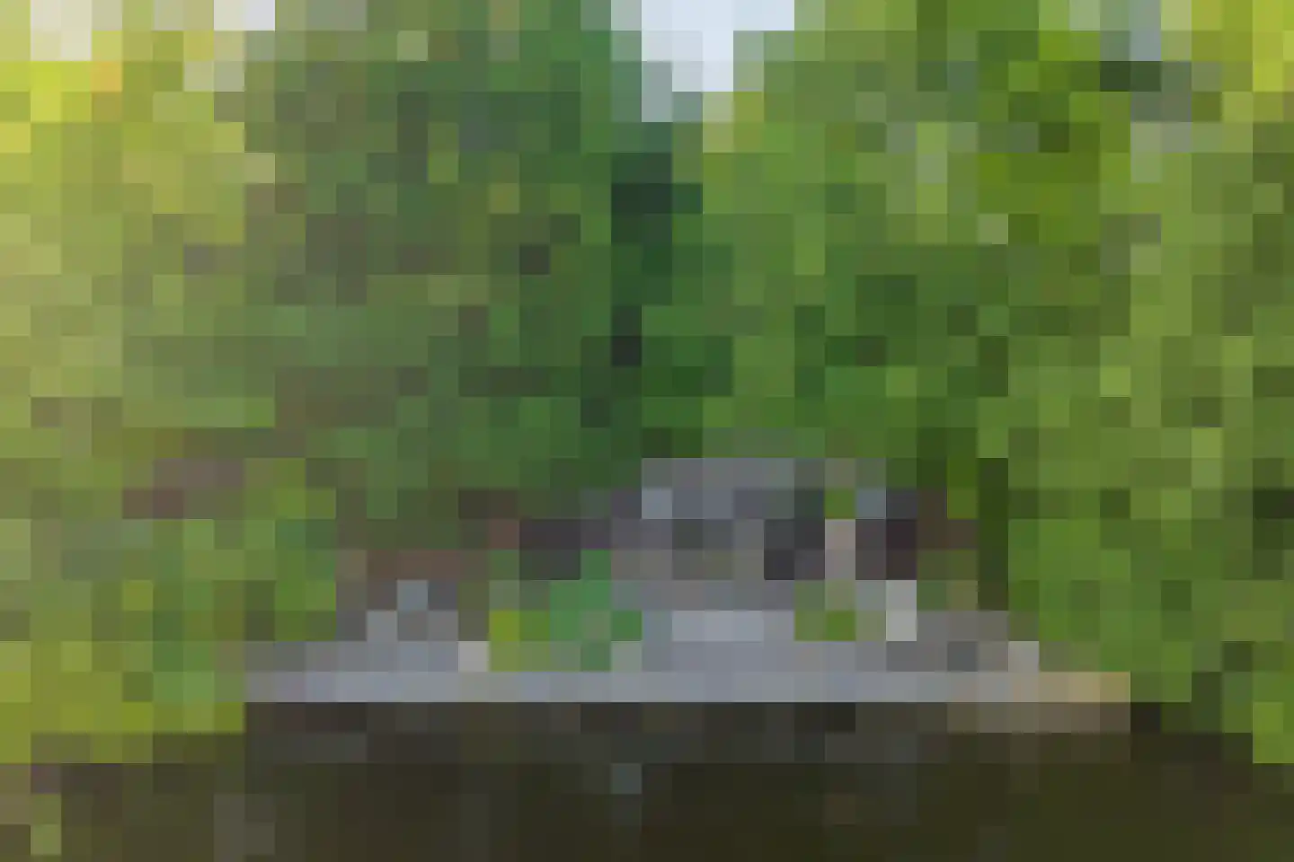 Vogelskamp 1 Warmond thumbnail 13