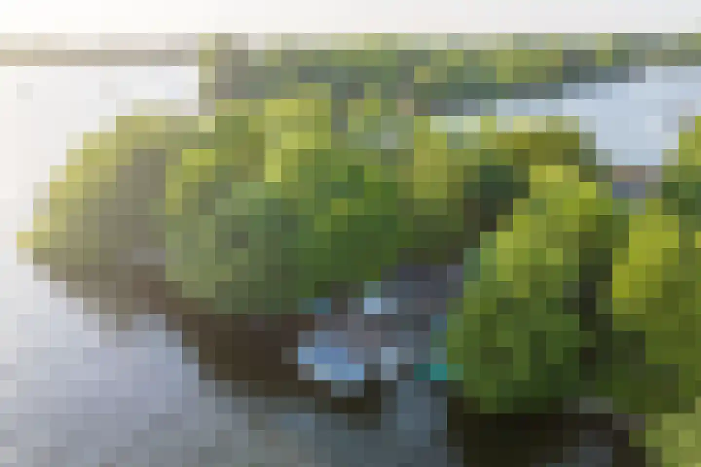 Vogelskamp 1 Warmond thumbnail 14