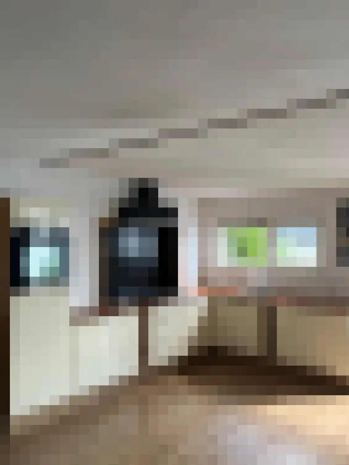 Vogelskamp 1 Warmond thumbnail 17