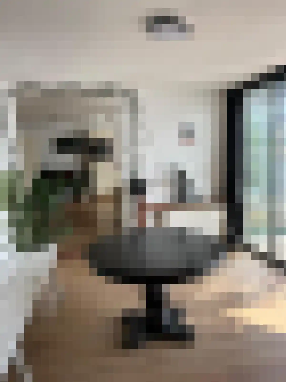 Vogelskamp 1 Warmond thumbnail 18