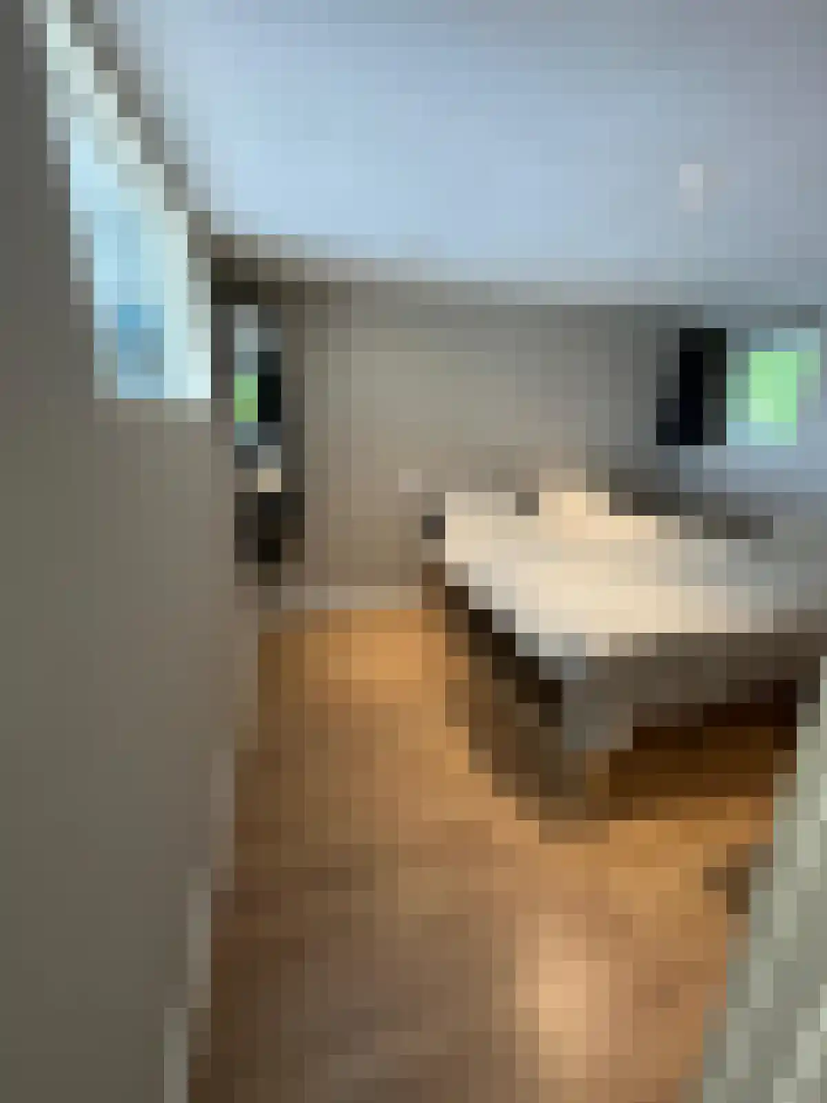 Vogelskamp 1 Warmond thumbnail 19