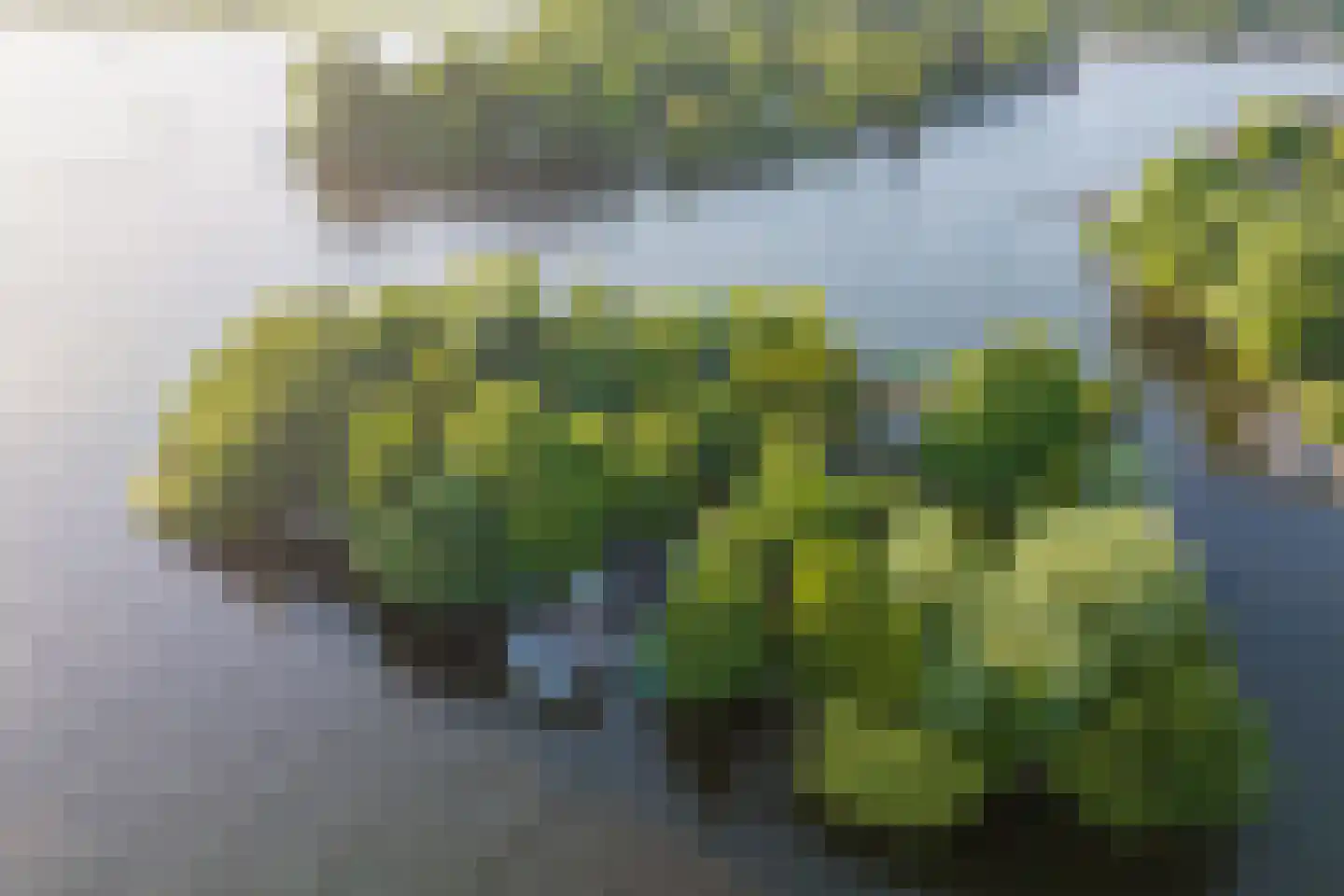 Vogelskamp 1 Warmond thumbnail 21