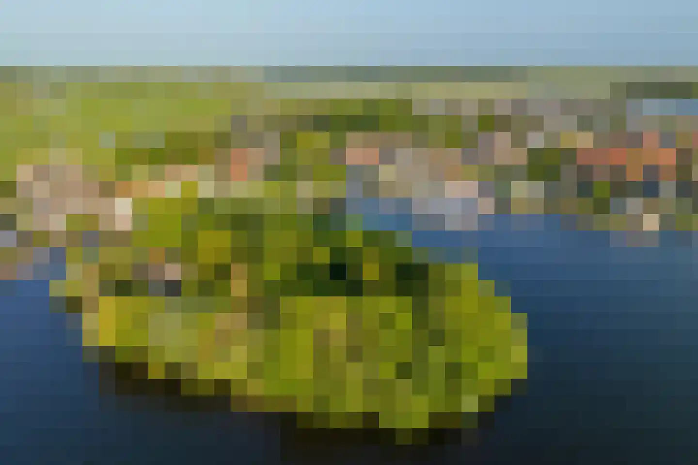 Vogelskamp 1 Warmond thumbnail 23