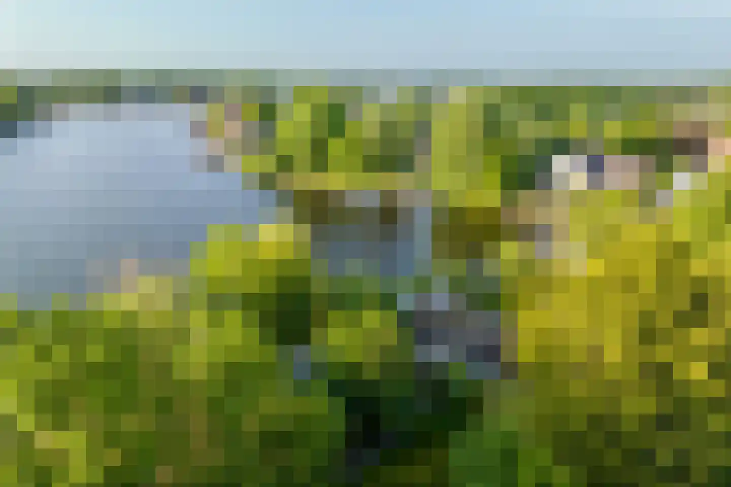 Vogelskamp 1 Warmond thumbnail 25
